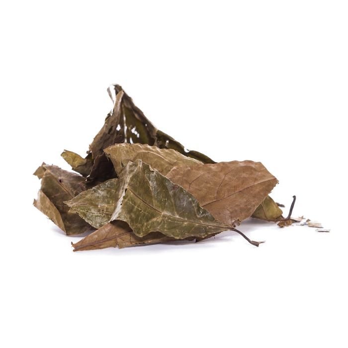 diplopterys-cabrerana-chaliponga