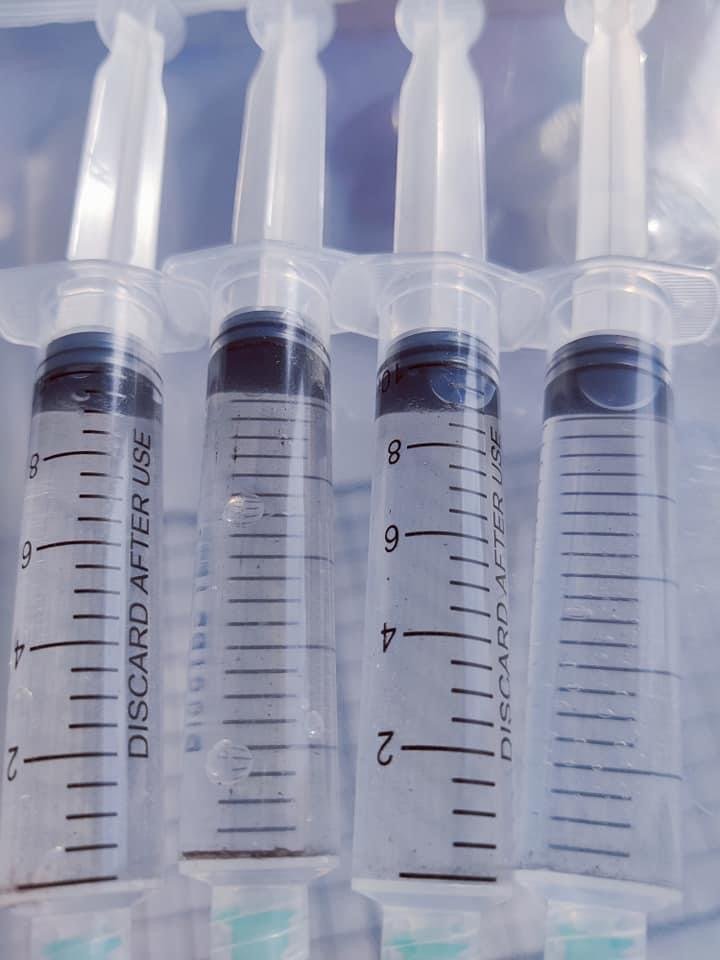 magic-mushroom-spore-syringe-pensacola-psilocybe-cubensis