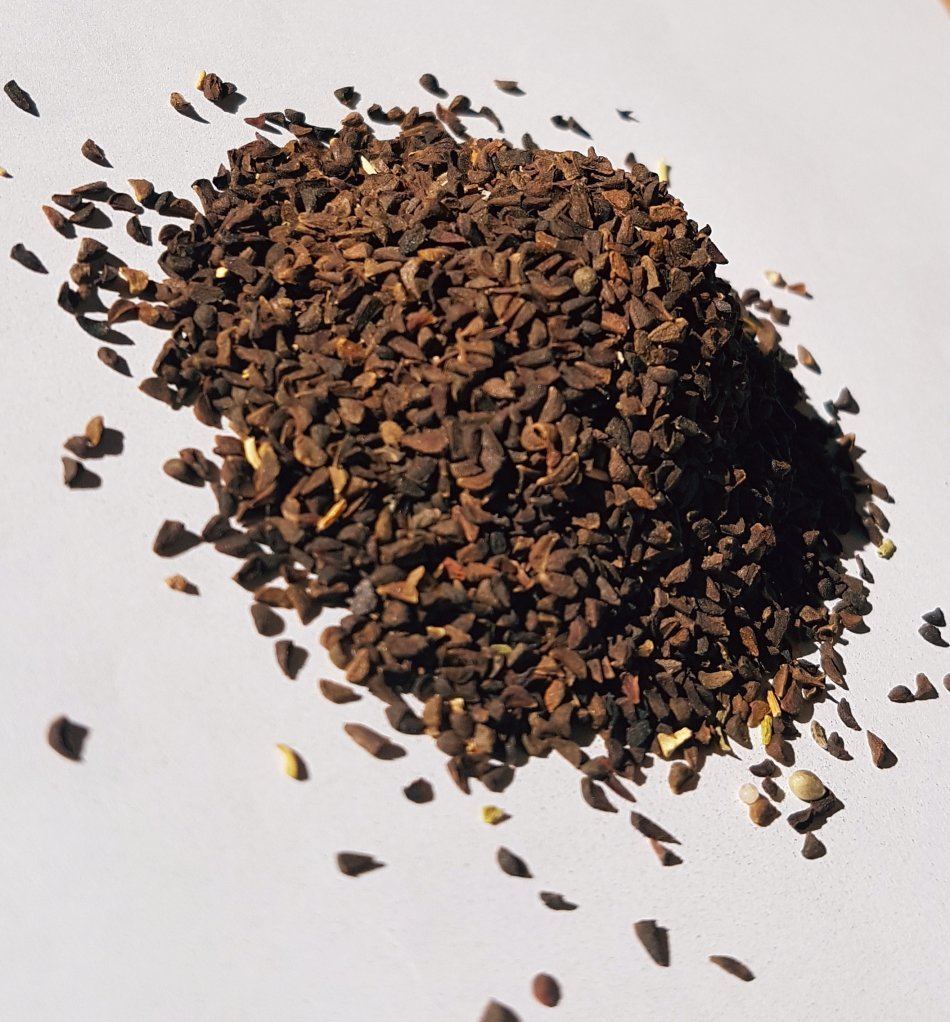 peganum-harmala-syrian-rue
